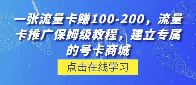 一张流量卡赚100-200，流量卡推广保姆级教程，建立专属的号卡商城-康仁安资源
