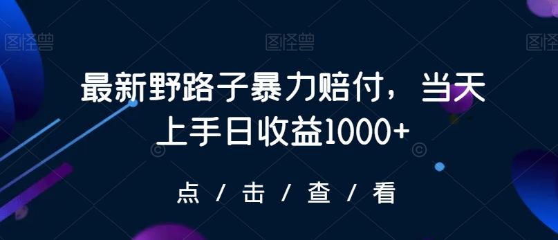 最新野路子暴力赔付，当天上手日收益1000+【仅揭秘】-康仁安资源
