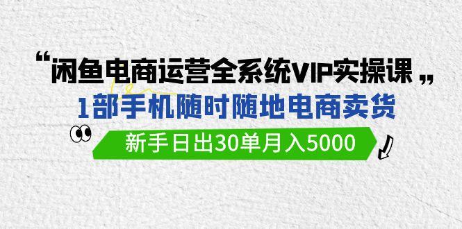 (9547期)闲鱼电商运营全系统VIP实战课，1部手机随时随地卖货，新手日出30单月入5000-康仁安资源