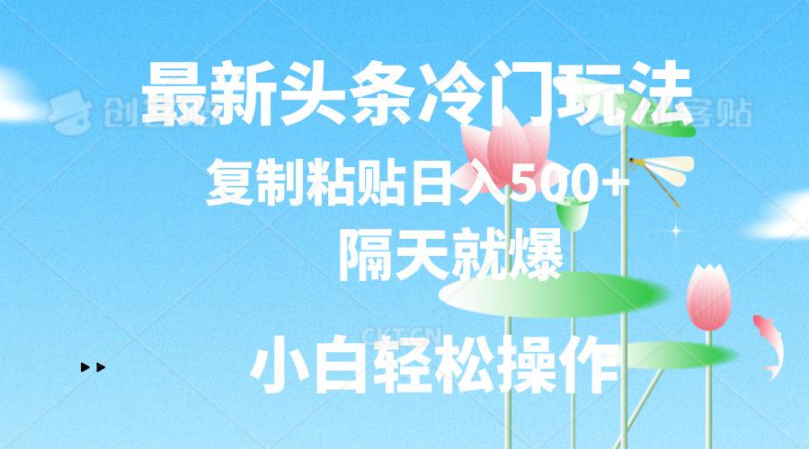 最新头条冷门玩法，隔天就爆，复制粘贴日入500+-康仁安资源