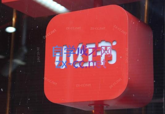 伊伊·红薯【高级班】运营课-康仁安资源