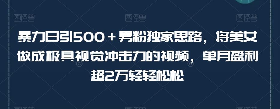暴力日引500＋男粉独家思路，将美女做成极具视觉冲击力的视频，单月盈利超2万轻轻松松-康仁安资源