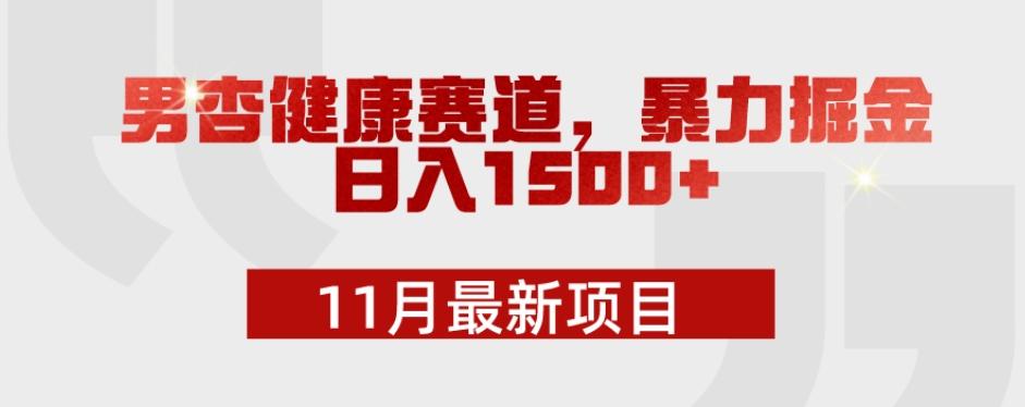 11月最新项目，男杏健康赛道，暴力掘金，日入1500+-康仁安资源