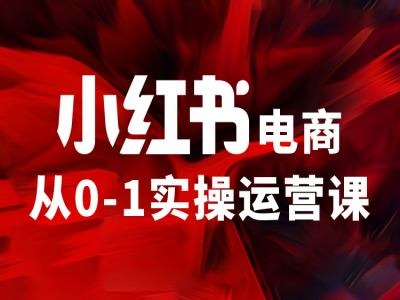 小红书电商从0-1实操运营课，让你从小白到精英-康仁安资源