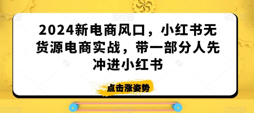 2024新电商风口，小红书无货源电商实战，带一部分人先冲进小红书-康仁安资源