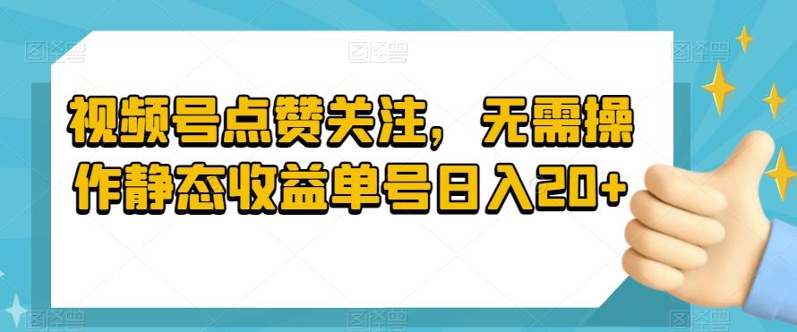 视频号点赞关注，无需操作静态收益单号日入20+-康仁安资源