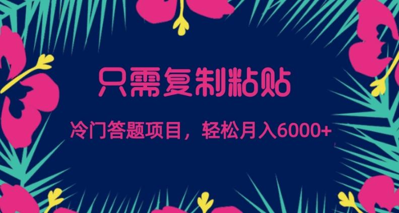 只需复制粘贴，冷门答题项目，轻松月入6000-康仁安资源