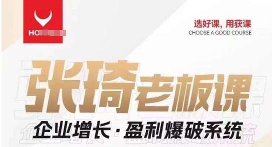 【组合课】张琦张琦老板企业增长·盈利爆破系统（直播专享）-康仁安资源