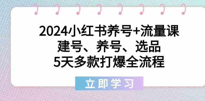 2024小红书养号+流量课：建号、养号、选品，5天多款打爆全流程-康仁安资源
