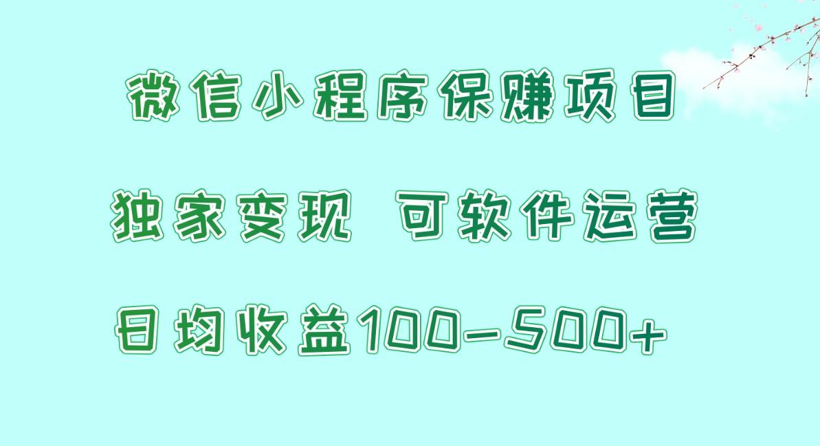 微信小程序保赚项目，日均收益100~500+，独家变现，可软件运营-康仁安资源