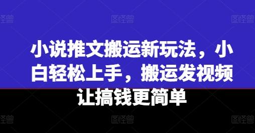 小说推文搬运新玩法，小白轻松上手，搬运发视频让搞钱更简单-康仁安资源
