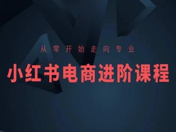 从零开始走向专业，小红书电商进阶课程-康仁安资源