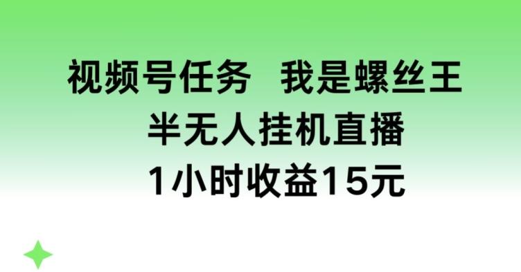 视频号任务，我是螺丝王， 半无人挂机1小时收益15元【揭秘】-康仁安资源