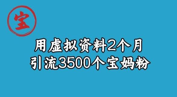 宝哥虚拟资料项目，2个月引流3500个宝妈粉-康仁安资源