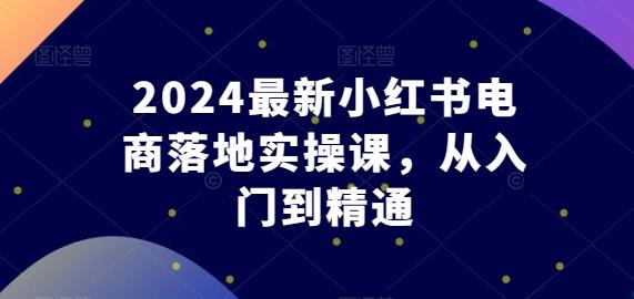 2024最新小红书电商落地实操课，从入门到精通-康仁安资源