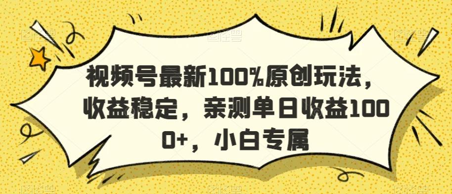 视频号最新100%原创玩法，收益稳定，亲测单日收益1000+，小白专属【揭秘】-康仁安资源