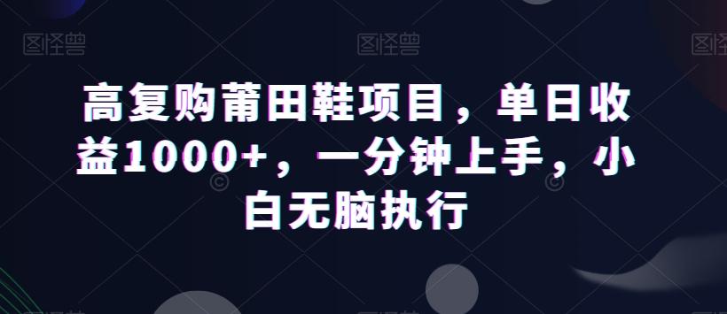 高复购莆田鞋项目，单日收益1000+，一分钟上手，小白无脑执行-康仁安资源