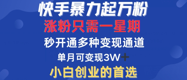快手暴力起万粉，涨粉只需一星期，多种变现模式，直接秒开万合，单月变现过W【揭秘】-康仁安资源