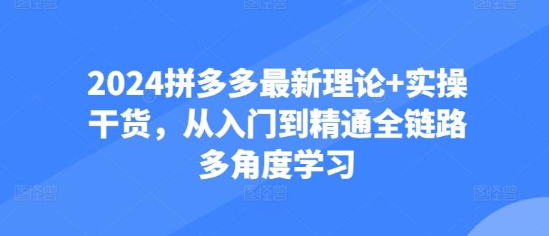 2024拼多多最新理论+实操干货，从入门到精通全链路多角度学习-康仁安资源