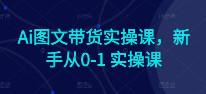 Ai图文带货实操课，新手从0-1 实操课-康仁安资源