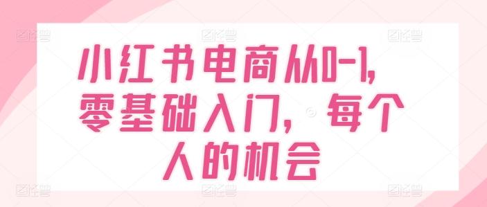 小红书电商从0-1，零基础入门，每个人的机会-康仁安资源