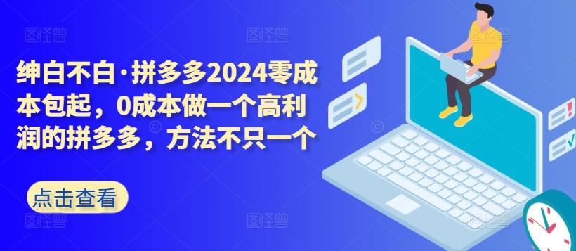 拼多多2024零成本包起，0成本做一个高利润的拼多多，方法不只一个-康仁安资源