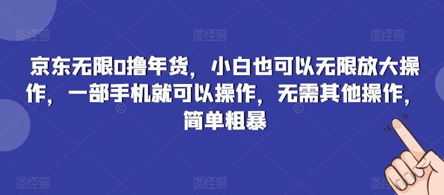 京东无限0撸年货，小白也可以无限放大操作，一部手机就可以操作，无需其他操作，简单粗暴-康仁安资源