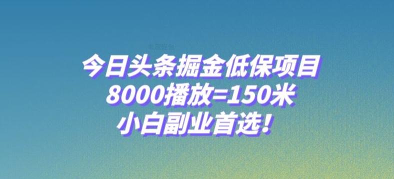今日头条掘金低保项目，8000播放=150米，小白副业首选【揭秘】-康仁安资源