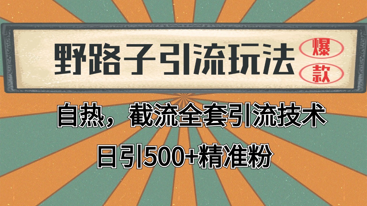 抖音小红书视频号全平台引流打法，全自动引流日引2000+精准客户-康仁安资源