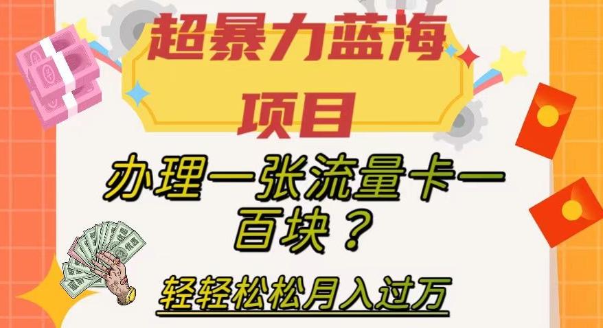 超暴力蓝海项目，办理一张流量卡一百块？轻轻松松月入过万，保姆级教程【揭秘】-康仁安资源