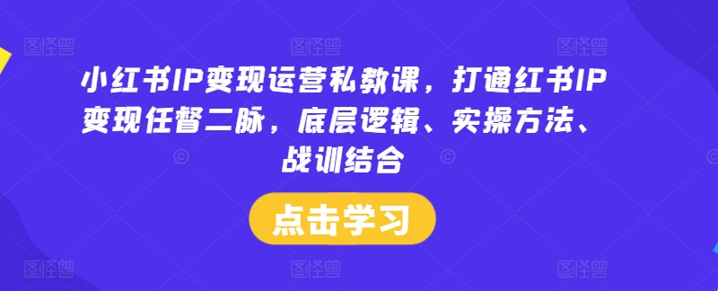 小红书IP变现运营私教课，打通红书IP变现任督二脉，底层逻辑、实操方法、战训结合-康仁安资源