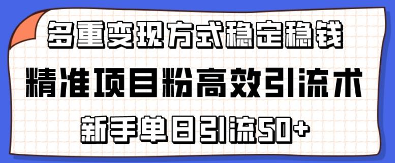 精准项目粉高效引流术，新手单日引流50+，多重变现方式稳定赚钱【揭秘】-康仁安资源