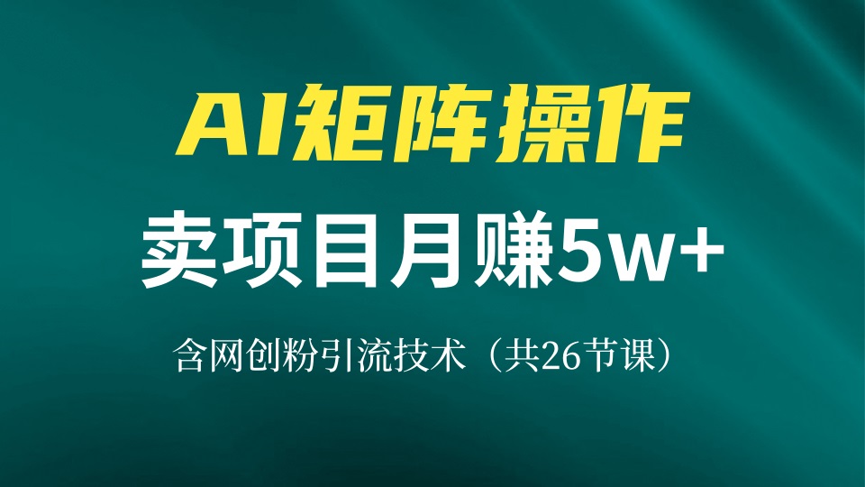 网创IP打造课，借助AI卖项目月赚5万+，含引流技术(共26节课-康仁安资源