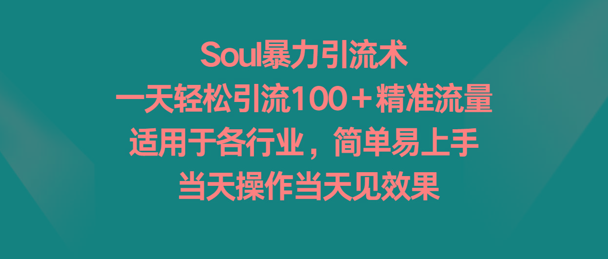 Soul暴力引流术，一天轻松引流100＋精准流量，适用于各行业，简单易上手！-康仁安资源