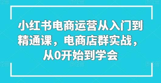 小红书电商运营从入门到精通课，电商店群实战，从0开始到学会-康仁安资源