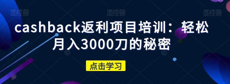 cashback返利项目培训：轻松月入3000刀的秘密-康仁安资源