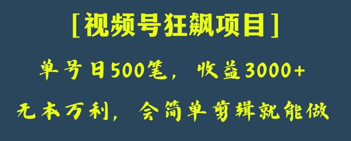日收款500笔，纯利润3000+，视频号狂飙项目，会简单剪辑就能做【揭秘】-康仁安资源