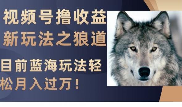 视频号撸收益新玩法之狼道，目前蓝海玩法，轻松月入过万【揭秘】-康仁安资源