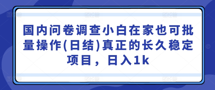 国内问卷调查小白在家也可批量操作(日结)真正的长久稳定项目，日入1k【揭秘】-康仁安资源
