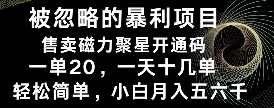 被忽略的暴利项目！售卖磁力聚星开通码，一单20，一天十几单，轻松月入五六千-康仁安资源
