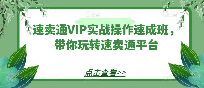 速卖通VIP实战操作速成班，带你玩转速卖通平台-康仁安资源