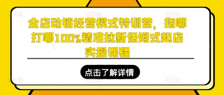 全店动销经营模式特训营，指哪打哪100%精准拉新保姆式起店实操课程-康仁安资源