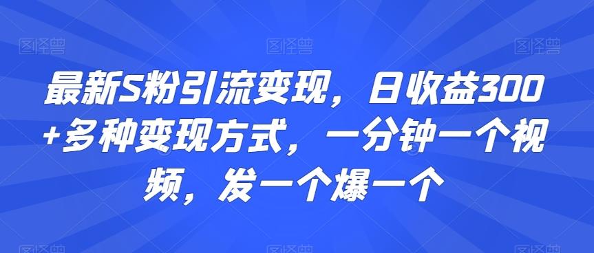 最新S粉引流变现，日收益300+多种变现方式，一分钟一个视频，发一个爆一个【揭秘】-康仁安资源