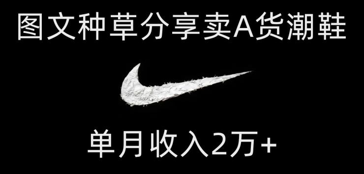 靠图文种草分享卖A货潮鞋，每天一小时，单月收入2万+【揭秘】-康仁安资源