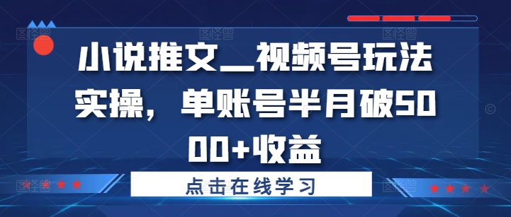 小说推文—视频号玩法实操，单账号半月破5000+收益-康仁安资源