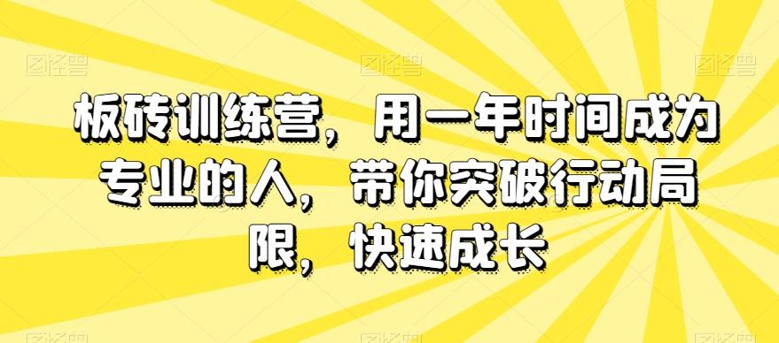 板砖训练营，用一年时间成为专业的人，带你突破行动局限，快速成长-康仁安资源