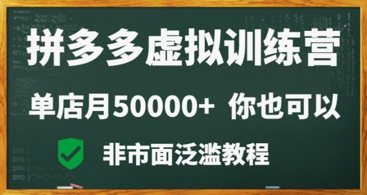 拼多多虚拟电商训练营月入30000+你也行，暴利稳定长久，副业首选-康仁安资源