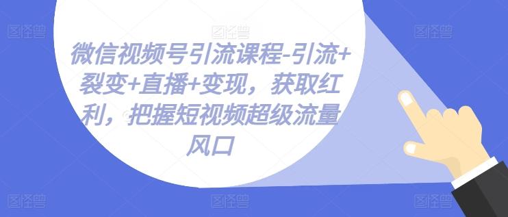 微信视频号引流课程-引流+裂变+直播+变现，获取红利，把握短视频超级流量风口-康仁安资源