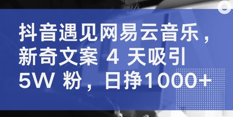 抖音遇见网易云音乐，新奇文案 4 天吸引 5W 粉，日挣1000+【揭秘】-康仁安资源