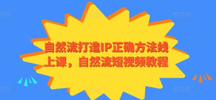 自然流打造IP正确方法线上课，自然流短视频教程-康仁安资源